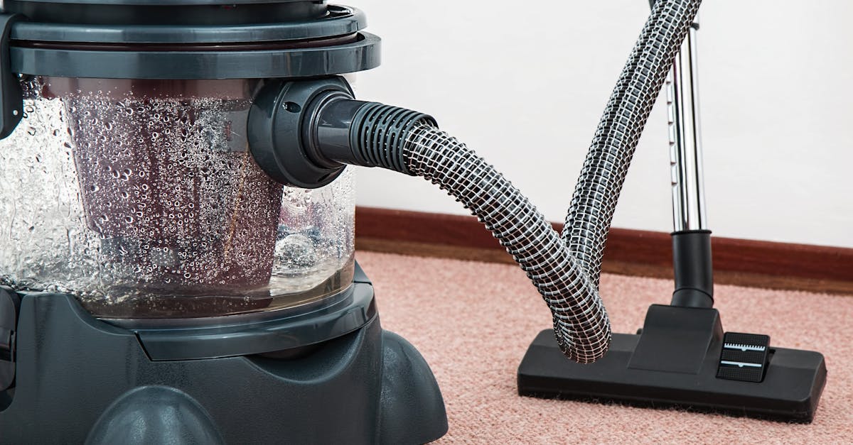 découvrez des astuces et des conseils pratiques pour un nettoyage efficace de votre maison. apprenez les techniques essentielles pour maintenir un espace propre et sain, que ce soit pour la cuisine, la salle de bain ou les espaces de vie. transformez votre routine de nettoyage grâce à nos solutions écologiques et rapides.