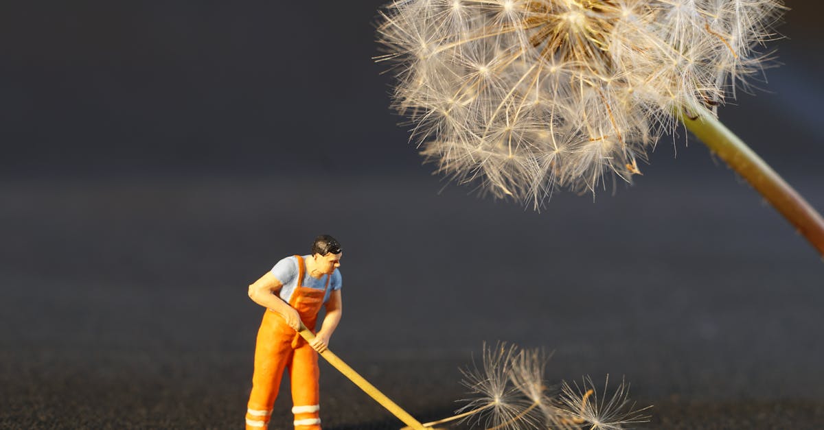 découvrez nos services de nettoyage professionnel pour un environnement sain et impeccable. que ce soit pour votre domicile ou votre entreprise, nous proposons des solutions adaptées à vos besoins et garantissons un nettoyage en profondeur.