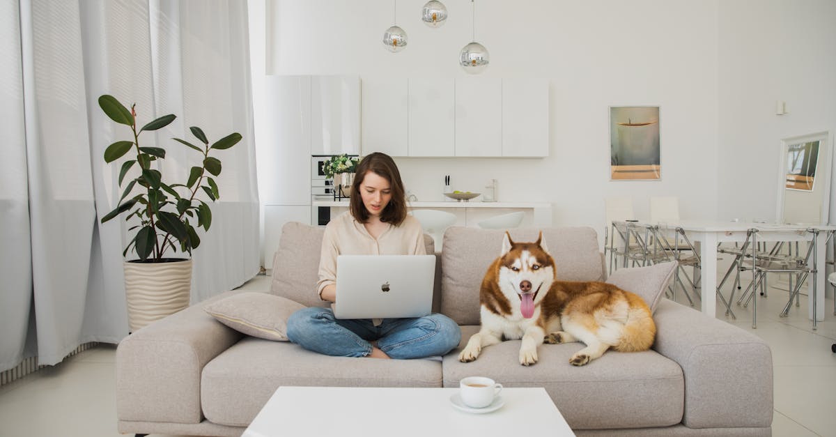 découvrez notre entreprise de nettoyage, spécialisée dans des services de qualité pour votre domicile ou votre entreprise. bénéficiez d'un environnement propre et sain grâce à notre équipe professionnelle dédiée. contactez-nous pour un devis personnalisé !
