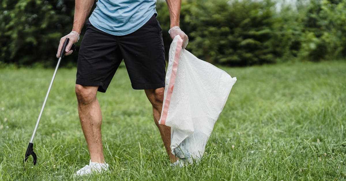 découvrez des solutions de nettoyage écologiques qui respectent l'environnement tout en garantissant une propreté éclatante de votre maison. adoptez des produits naturels et durables pour un bilan carbone réduit et un intérieur sain.