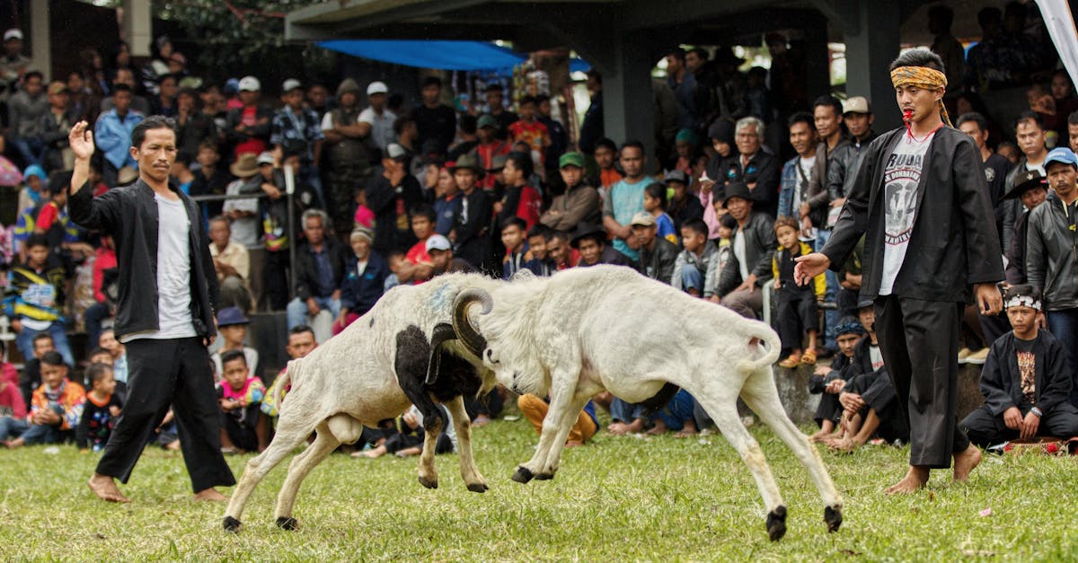 découvrez la richesse de la culture locale à travers ses traditions, ses arts et ses événements. plongez au cœur des pratiques authentiques qui façonnent l'identité de nos communautés.