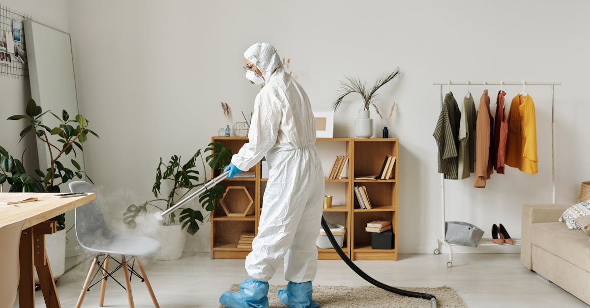 découvrez nos services de nettoyage de bureaux pour un espace de travail impeccable et accueillant. nous utilisons des techniques écologiques et des produits de qualité pour assurer un environnement sain et productif.