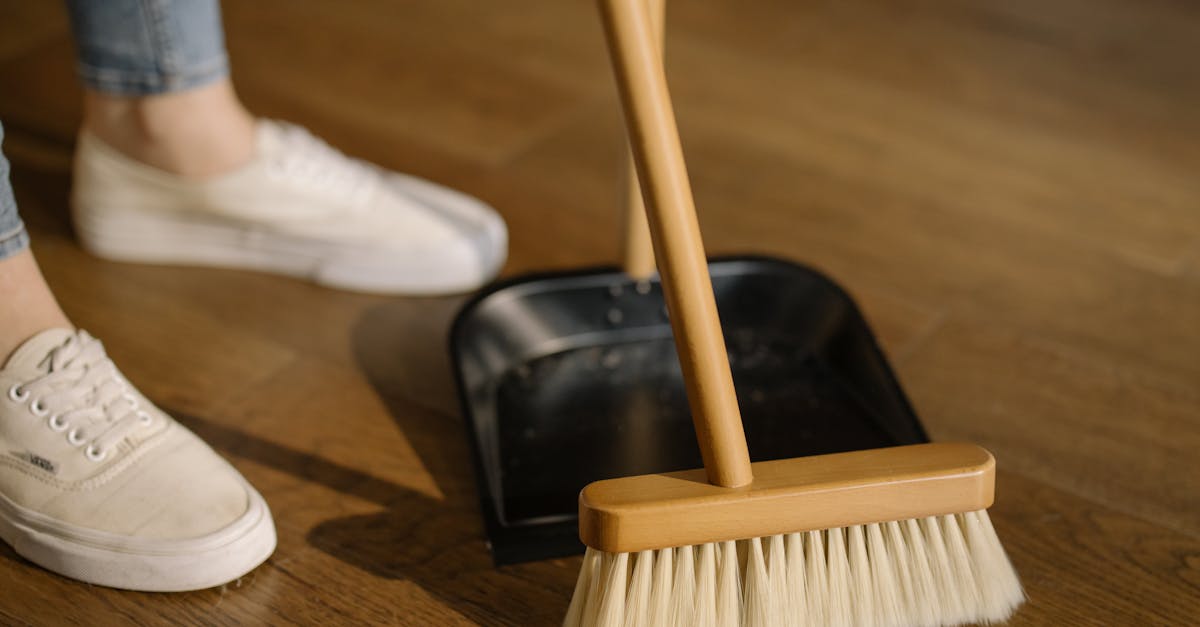 découvrez nos conseils pratiques pour un ménage de printemps efficace ! apprenez à désencombrer, nettoyer en profondeur et revitaliser votre espace de vie pour accueillir la nouvelle saison avec fraîcheur et énergie.