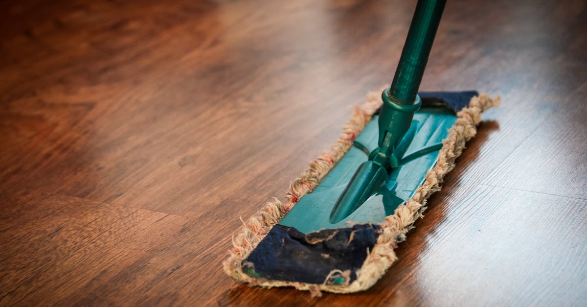 découvrez nos astuces et conseils pour un nettoyage efficace de votre intérieur. obtenez les meilleures pratiques pour entretenir votre maison et rendre vos espaces plus sains.
