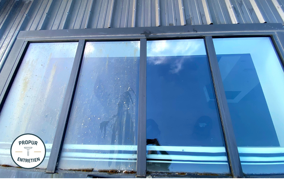 Nettoyage de vitres